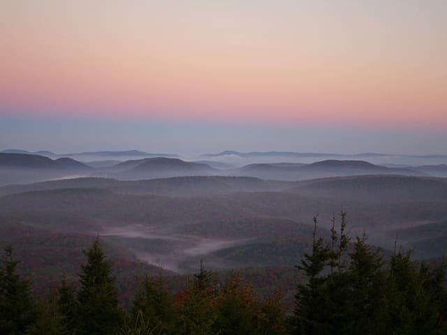 Misty Green Hills With Roses