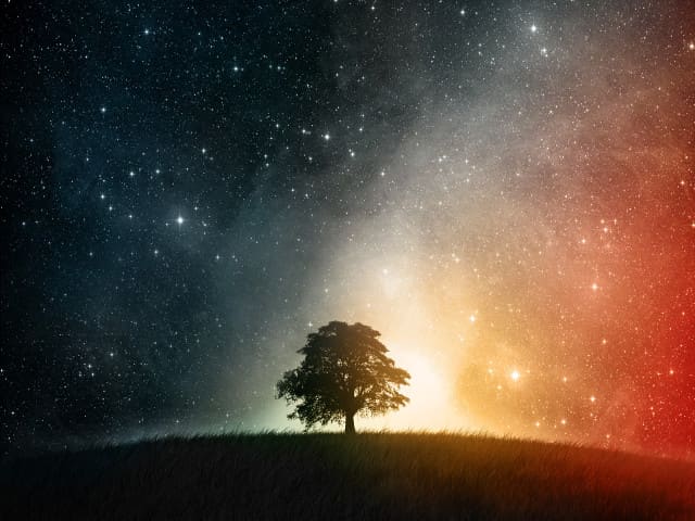 Lone Tree and Starfield